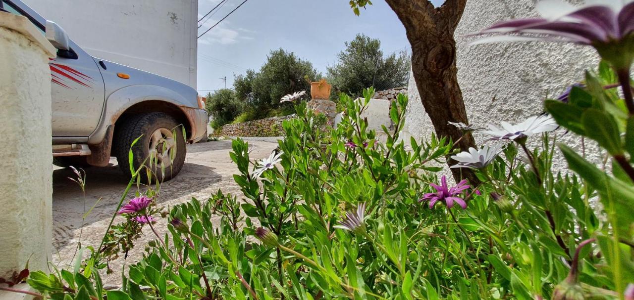 Ailamakis Apartements Káto Zákros Dış mekan fotoğraf